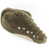 TROPHY CROCODILE FRANK 9