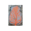BAG COVER - QUEBEC 25L 22