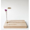 MEMORY SHELF RUBBERWOOD WIL JIJ MIJN 20