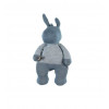 N&P&L PACO BLEU DOUDOU 25CM BIO COT 231