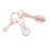 VERZORGINGSTOILETSET OLD PINK 243