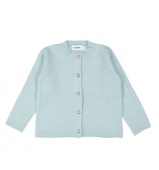 GILET TRICOT SOFT LICHTBLAUW 6M