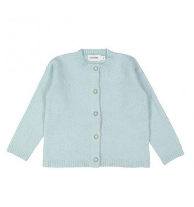 GILET TRICOT SOFT LICHTBLAUW 6M