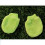 GANTS BEBE R&R VERT 0 6 MOIS 5
