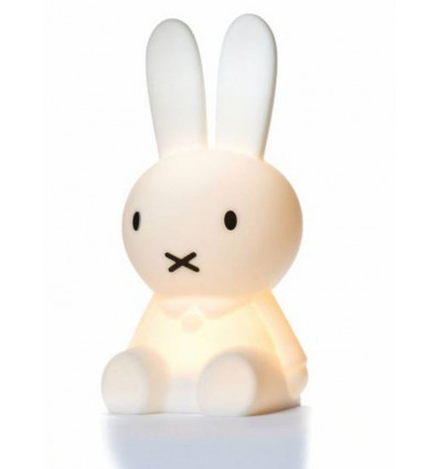 FIRST LIGHT MIFFY 22