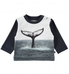 T-SHIRTS & TOPS WHALE TAIL ENOVAN 62