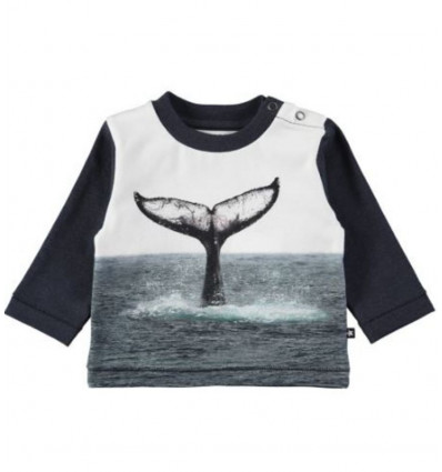 T-SHIRTS & TOPS WHALE TAIL ENOVAN 62