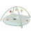 ACTIVITY PLAY MAT ARCHES POLAR BEAR 024