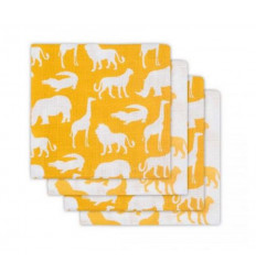 HYDROFIEL LUIER SAFARI OCHER 4PACK 201