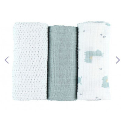 M&M19 AQUA 3 DOEKEN70X70 BIO MOUSSELI 20