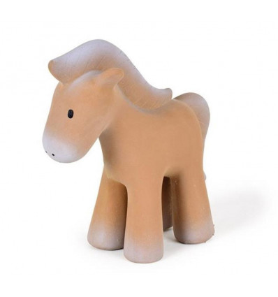EERSTE BOERDERIJDIER PAARD 201