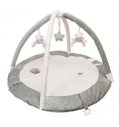 ROZE POUDRE D'ETOILES SPEELTAPIJT 9