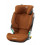 MC KOREPRO AUTHECOGN 22