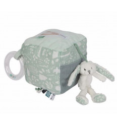 CUBE D'ACTIVITE LAPIN ADVENTURE MINT 92