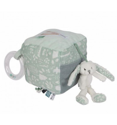 CUBE D'ACTIVITE LAPIN ADVENTURE MINT 92