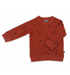 SWEATER ILIAS TRIANGLE FOXES SWEATER
