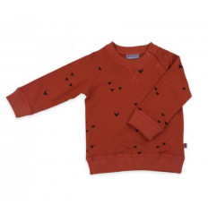 SWEATER ILIAS TRIANGLE FOXES SWEATER