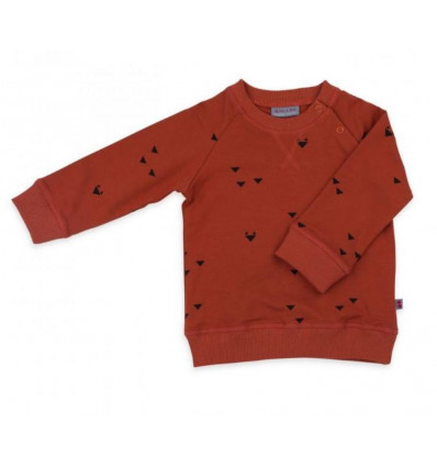 SWEATER ILIAS TRIANGLE FOXES SWEATER