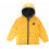 JAIPASFROID DDNE