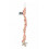 PACIFIER CORD DUSTY ROSE DUSTY ROSE 20