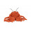 CRISPIN CRAB SMALL 24