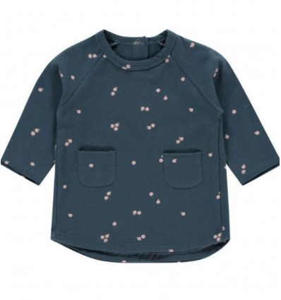 DRESS LONG SLEEVE ORION BLUE AOP APPLES