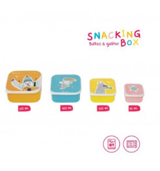 SNACKING BOX 4 BOITES A GOUTER 22
