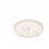 PLATE GARDEN EXPLORER BOYS 21