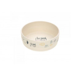 BOWL GARDEN EXPLORER BOYS 21