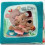 BOEK KISS CESAR 22