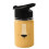 STAINLESS STEEL TUMBLER LION 20