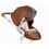 XARI BOX 2 SEAT BOX CAMEL 20