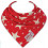 SKIBZ STERREN ROOD 7