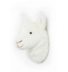 TETE LAMA LILY 211