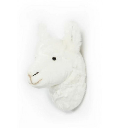 TETE LAMA LILY 211