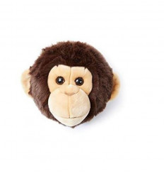 TROPHY SINGE JOE 9