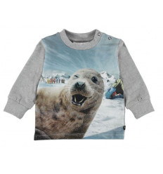 ELOY SEAL FIE 9
