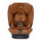 TITAN PRO AUTHENTIC COGNAC 202