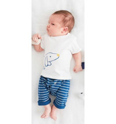 COCON SET BERMUDA + T SHIRT BIO 3M