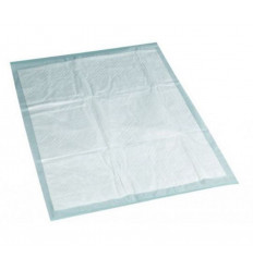 ULTRA ABSORBEREND VERVERSMATJES X10 231