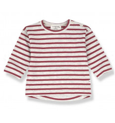 CANNET RED 03 RED