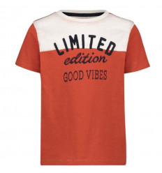 B REGULAR T-SHIRT SS JAMESBURG PAPRIKA 1