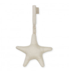 PLAY GYM TOY STARFISH SQUEAKER SAND 21