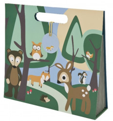 STORAGE FOR DRAWINGS FOREST BOY 62