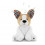 DANNY PEAK-A-BOO DOG 211
