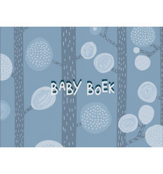 BABYBOEK OUD BLAUW 24