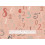SCHOOLFOTOBOEK OUDROZE 24