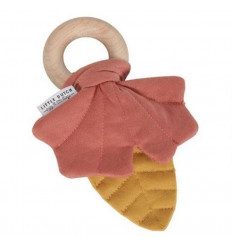 LD HOUTEN RING BLAADJE GEEL/ROOD 211