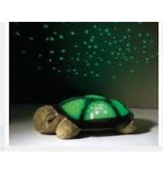 TWILIGHT TURTLE CLASSIC 4