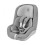 PEARL PRO2 I-SIZE AUTHENTIC GREY 202